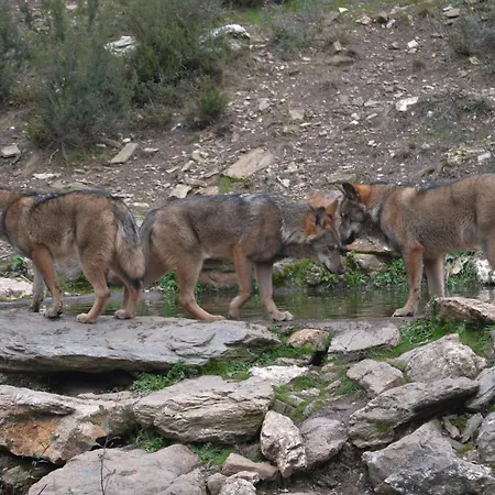 La Sabelona Сasa de vacaciones Otero de Sanabria
