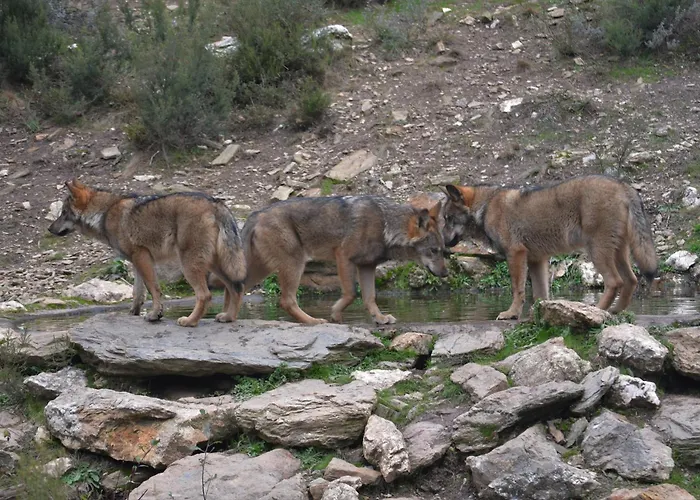 La Sabelona Tatil Evi Otero de Sanabria